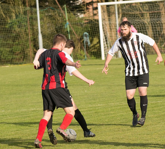 起了反击 起了反击