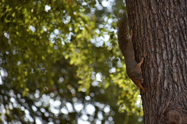 提到的球员 提到的球员