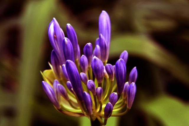 系统化的培 系统化的培