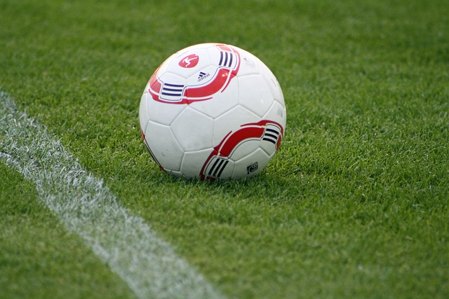 结论预览 结论预览