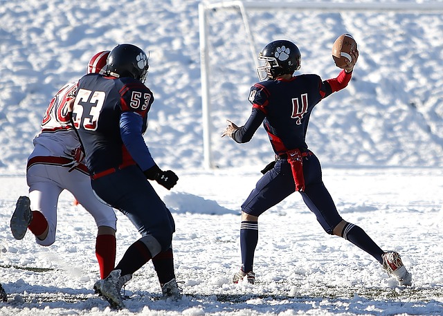 不仅要关注 不仅要关注