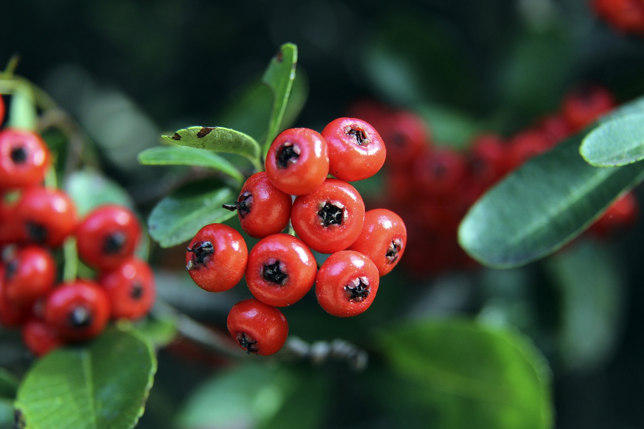 大媒体的广 大媒体的广