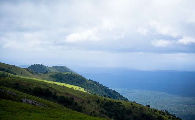 曼联的表现 曼联的表现