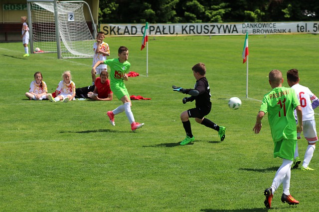 议性行为 议性行为