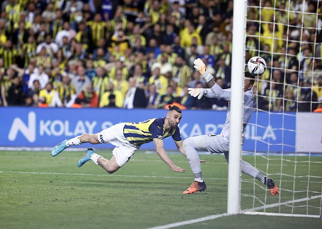 我们不能忽 我们不能忽