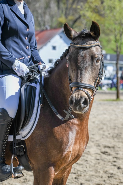 的门票分配 的门票分配